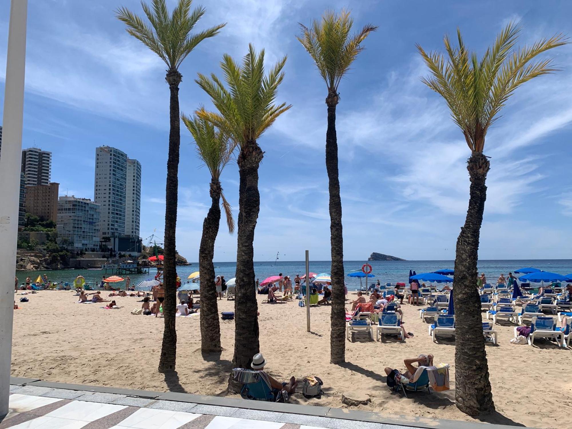 Milan Soria Luxury House Daire Benidorm Dış mekan fotoğraf